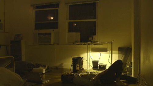 Indoor Garden Bild 3