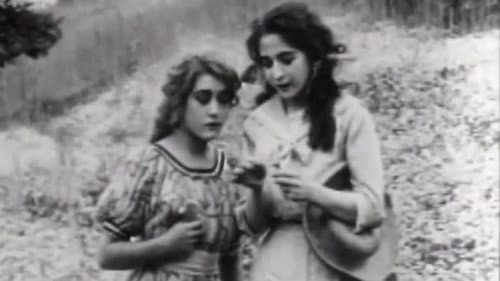 What the Daisy Said Bild 1