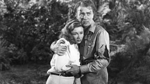 Angel on the Amazon Bild 4