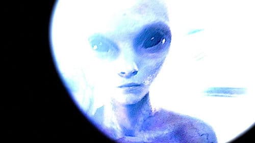 The Alien Report Bild 1