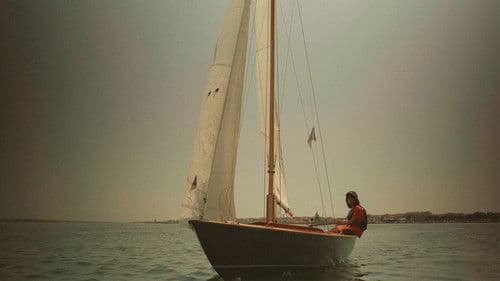 Os Vougas da Ria de Aveiro Bild 1