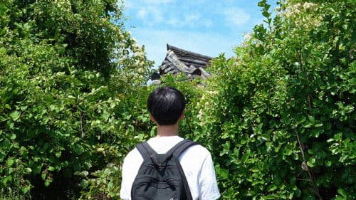 어제의 바람 Bild 4