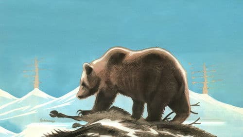 I lapplandsbjörnens rike Bild 1