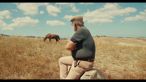 Corpo dei giorni Bild 3