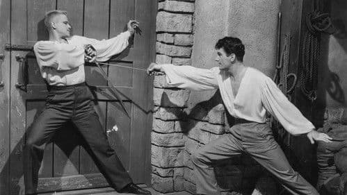 Alt Heidelberg Bild 3