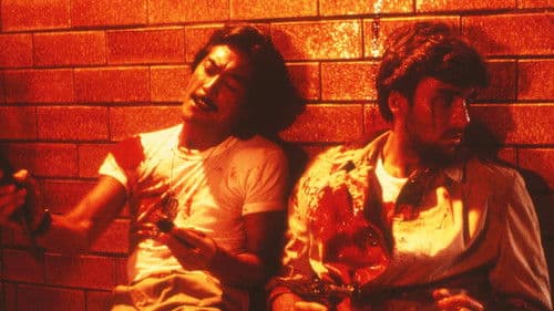 南へ走れ、海の道を！ Bild 1