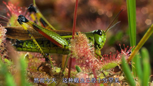 Magie der Moore Bild 1