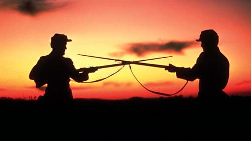 Die Blauen und die Grauen Bild 2