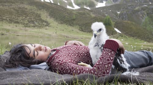 Wie Brüder im Wind Bild 2