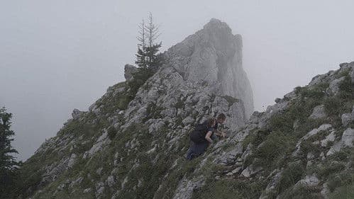 Schwarzer Panther Bild 2