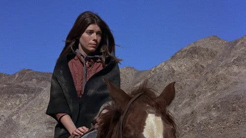 Begrabt die Wölfe in der Schlucht Bild 5