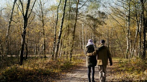 Waarom Wachten Bild 1