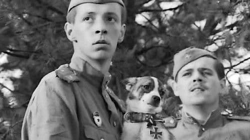 В бой идут одни старики Bild 3