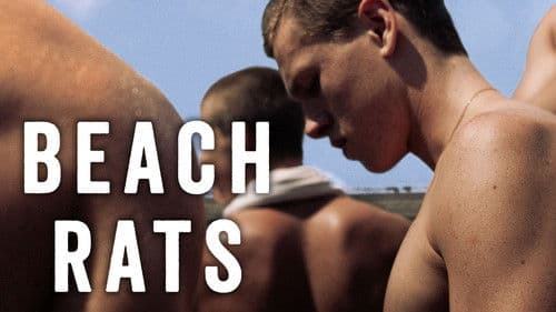 Beach Rats Bild 1