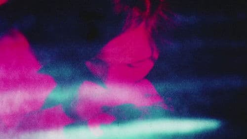 Palace of Pleasure Bild 2