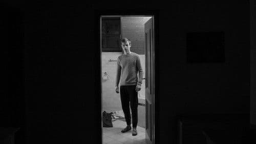 Lost In The Shadows Bild 1