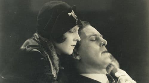 The City Gone Wild Bild 1