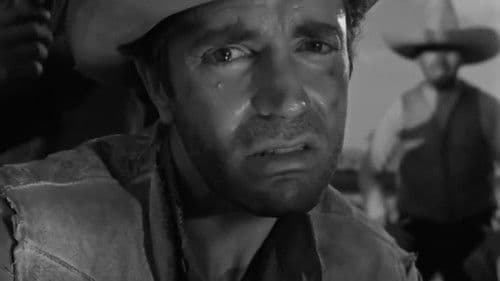 Los hermanos Del Hierro Bild 7