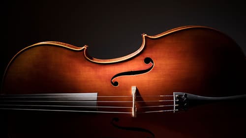 Classic Cellists at the BBC Bild 1