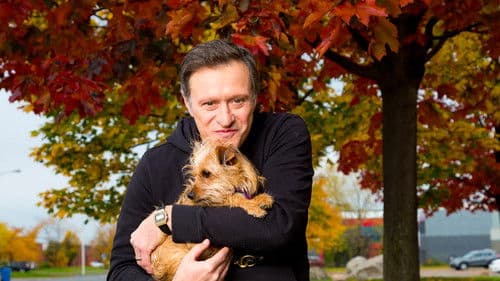 Refuge animal Bild 1