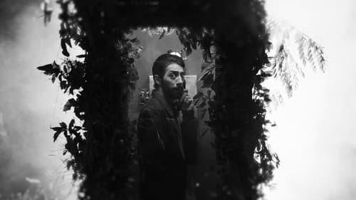 Körpünün O Tayı Bild 1