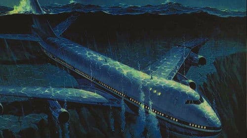 Airport '77 - Verschollen im Bermuda-Dreieck Bild 3