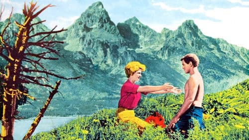 Sommer der Erwartung Bild 6