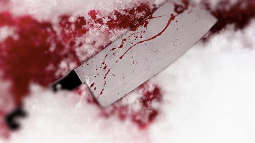 True Nordic Crimes Bild 1