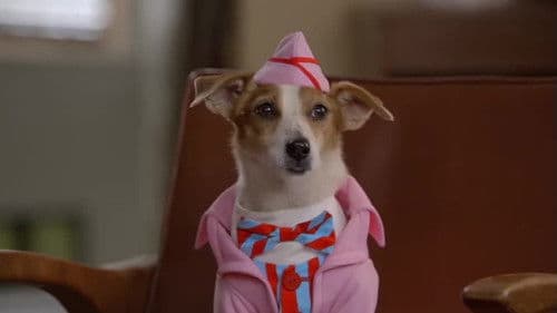 Santa Pfote 2 - Die Weihnachts-Welpen Bild 2