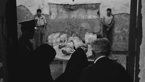 Wer erschoss Salvatore G.? Bild 6