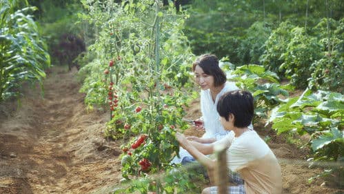 かくしごと Bild 2