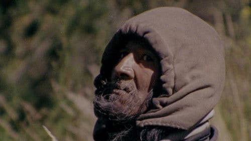 El Gran Movimiento Bild 5