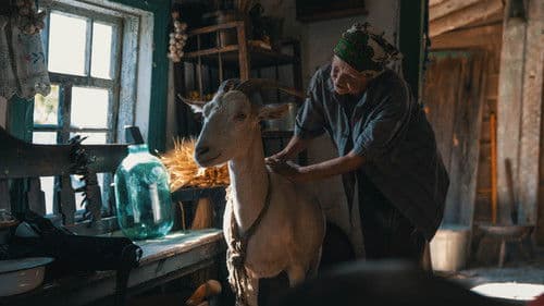 Війна очима тварин Bild 7