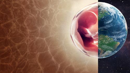 Der Mensch: Innere Welten Bild 4