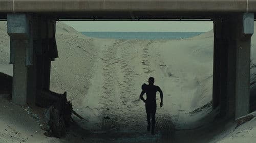 The Surf Report Bild 4