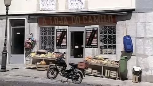 A Loja do Camilo Bild 4