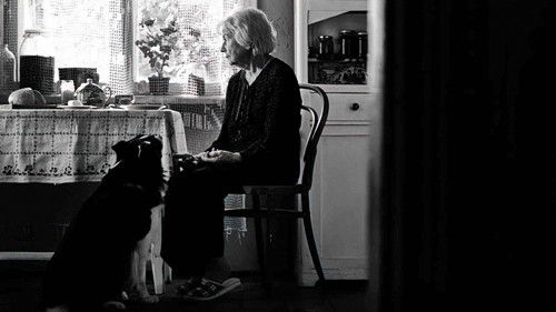 Pora umierać Bild 1