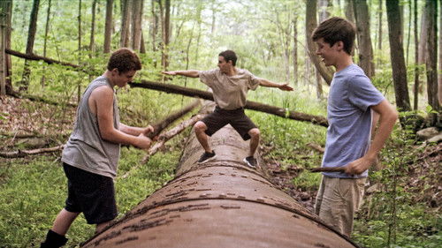 Kings of Summer Bild 5