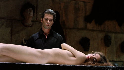 Jäger der verschollenen Galaxie Bild 8