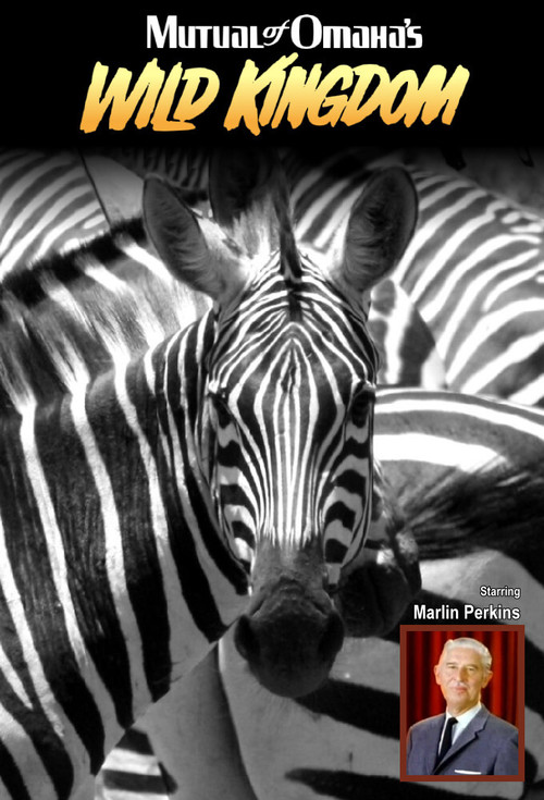 Im Reich der wilden Tiere