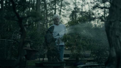 Bad Boy of Bonsai Bild 1