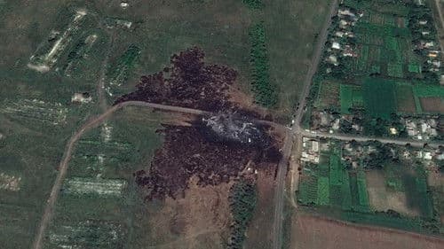 Eiserne Schmetterlinge Bild 4