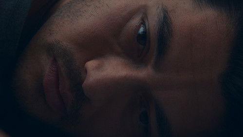 Daniela Forever Bild 5