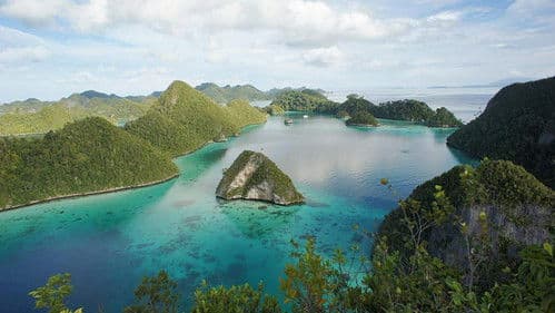 Coral Triangle Bild 4