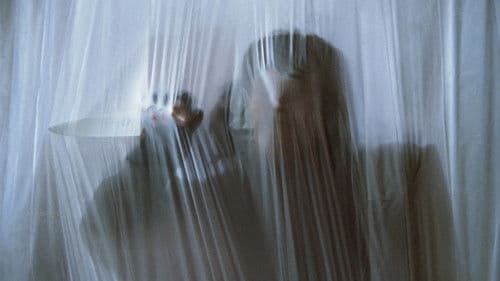 Freitag der 713. Bild 3