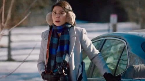 Falling Like Snowflakes - Im Fokus der Liebe Bild 2