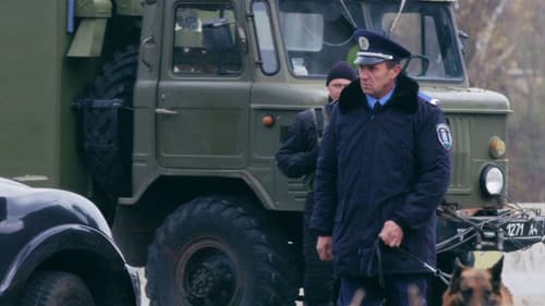 Безсмертник Bild 4