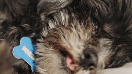 Norman Norman Bild 3