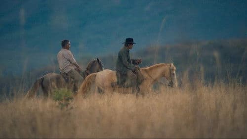 Oeste Outra Vez Bild 5