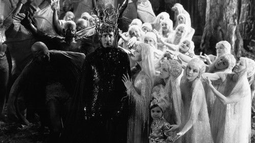 Ein Sommernachtstraum Bild 3